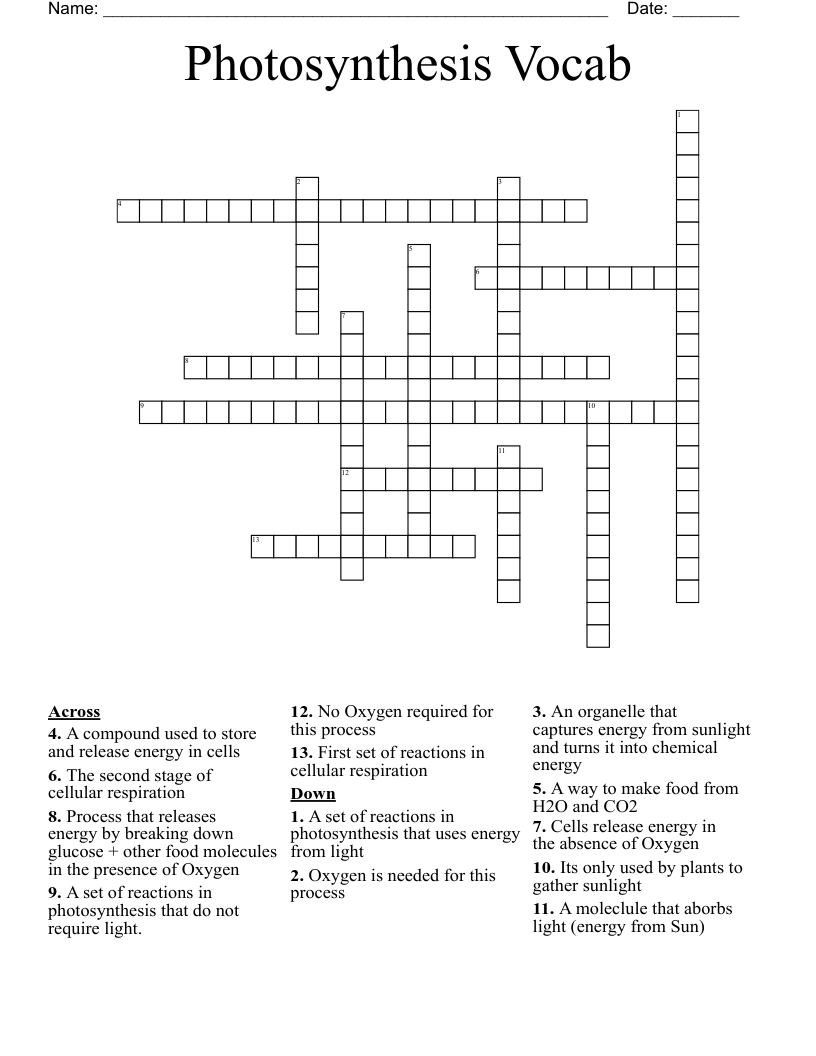 Photosynthesis Vocab  Crossword