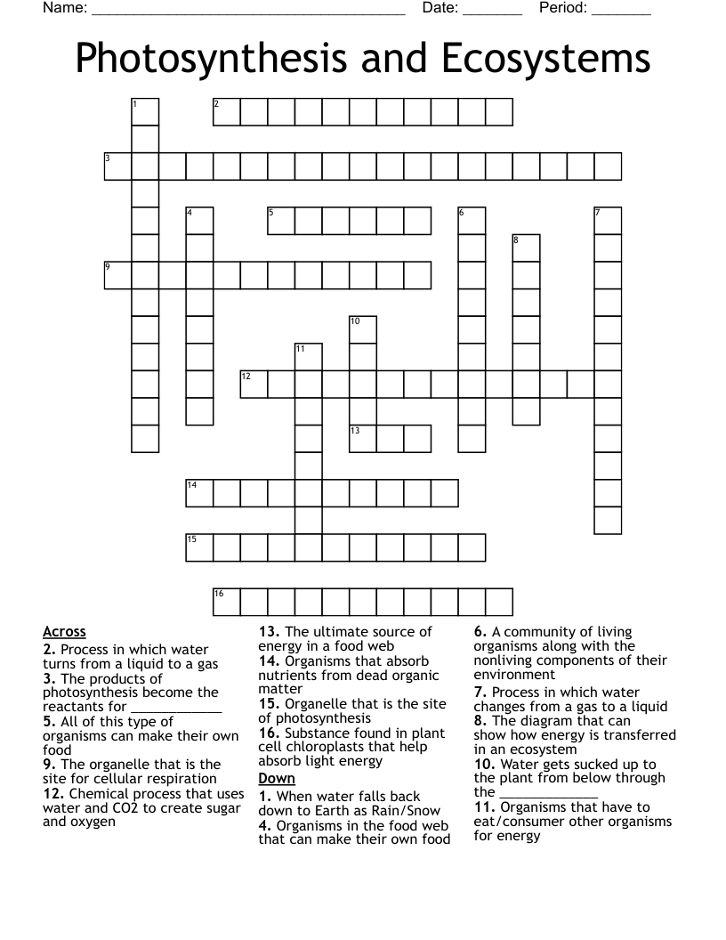 Photosynthesis and Ecosystems Crossword
