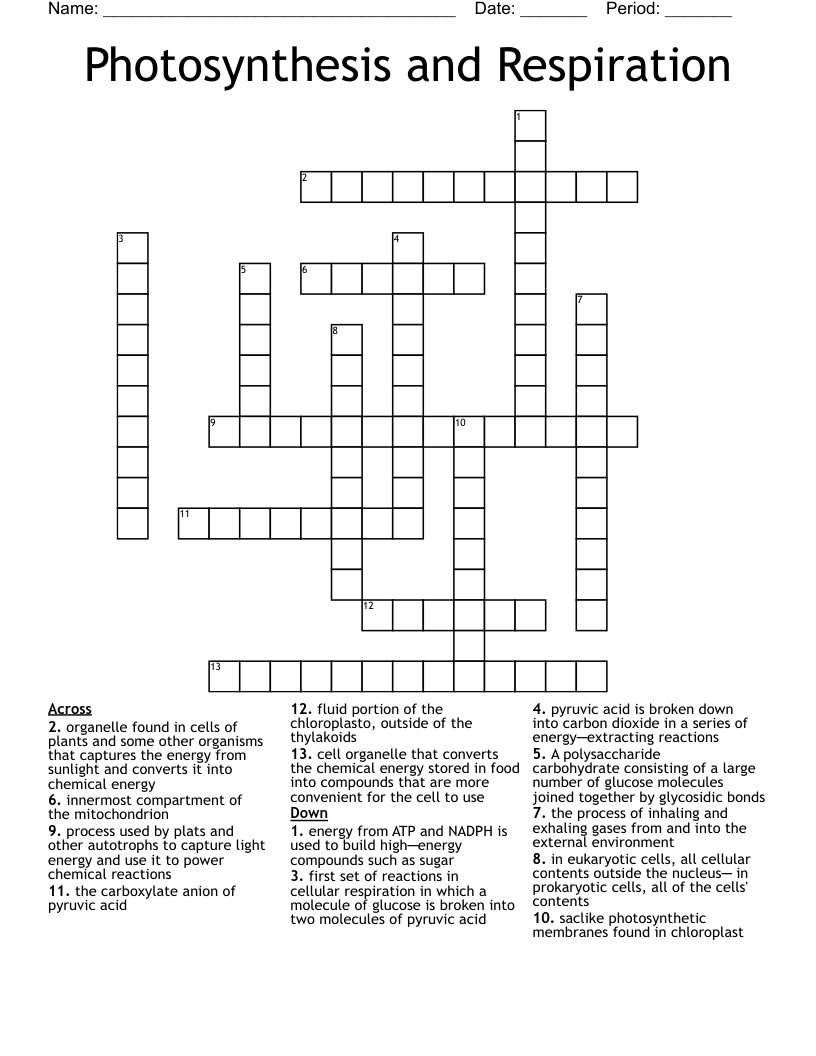 Photosynthesis and Respiration Crossword - WordMint