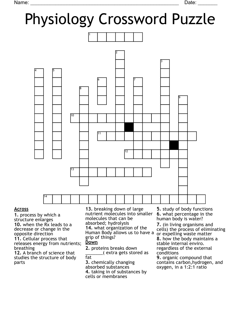 Anatomy Amp Physiology Crossword Puzzle Bank2home Anatomy Amp Physiology Crossword Puzzle Bank2home