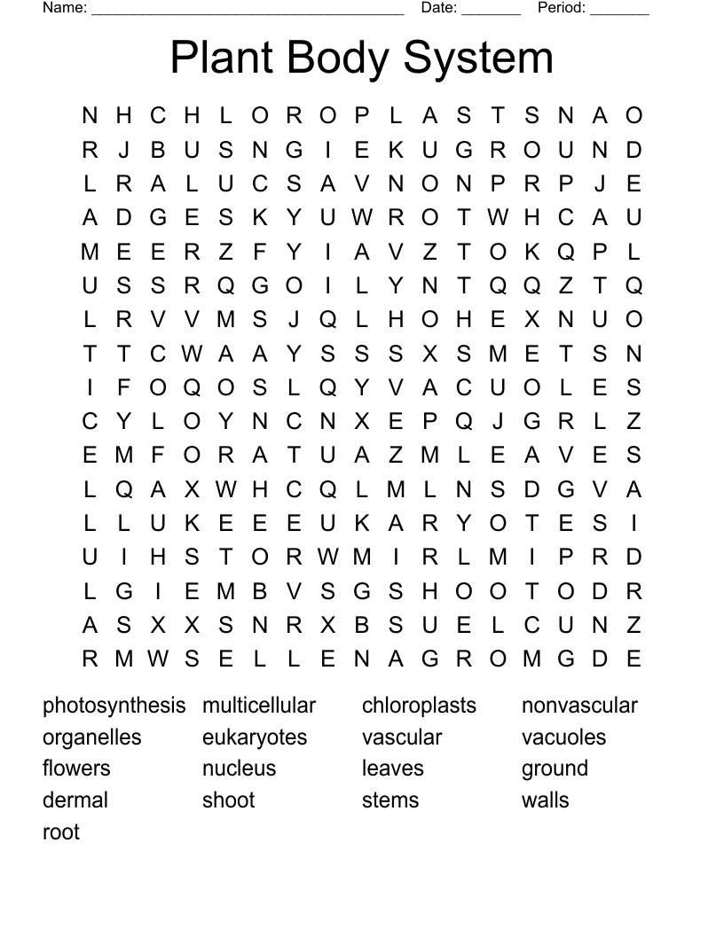 Plant Body System Word Search