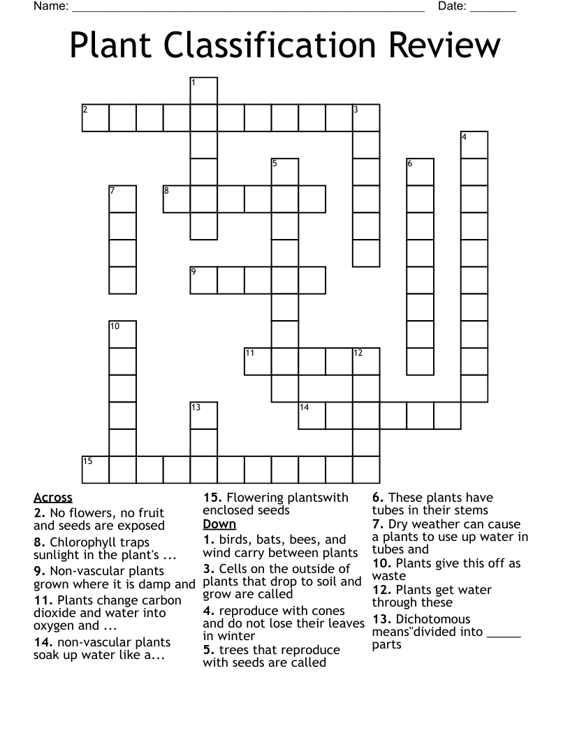 Plant Classification Function And Structure Crossword vrogue.co
