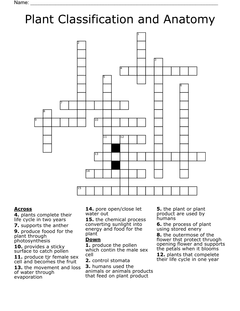 Plant Classification Function And Structure Crossword vrogue.co