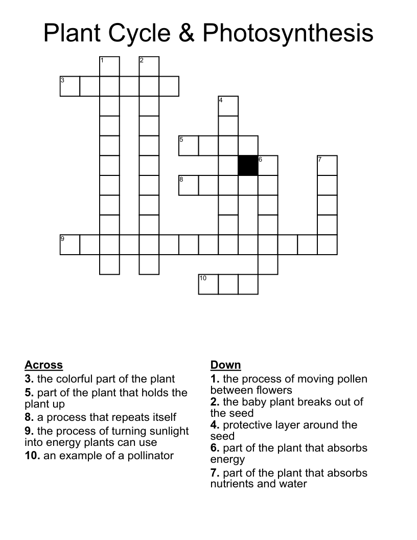Plant Cycle & Photosynthesis Crossword WordMint