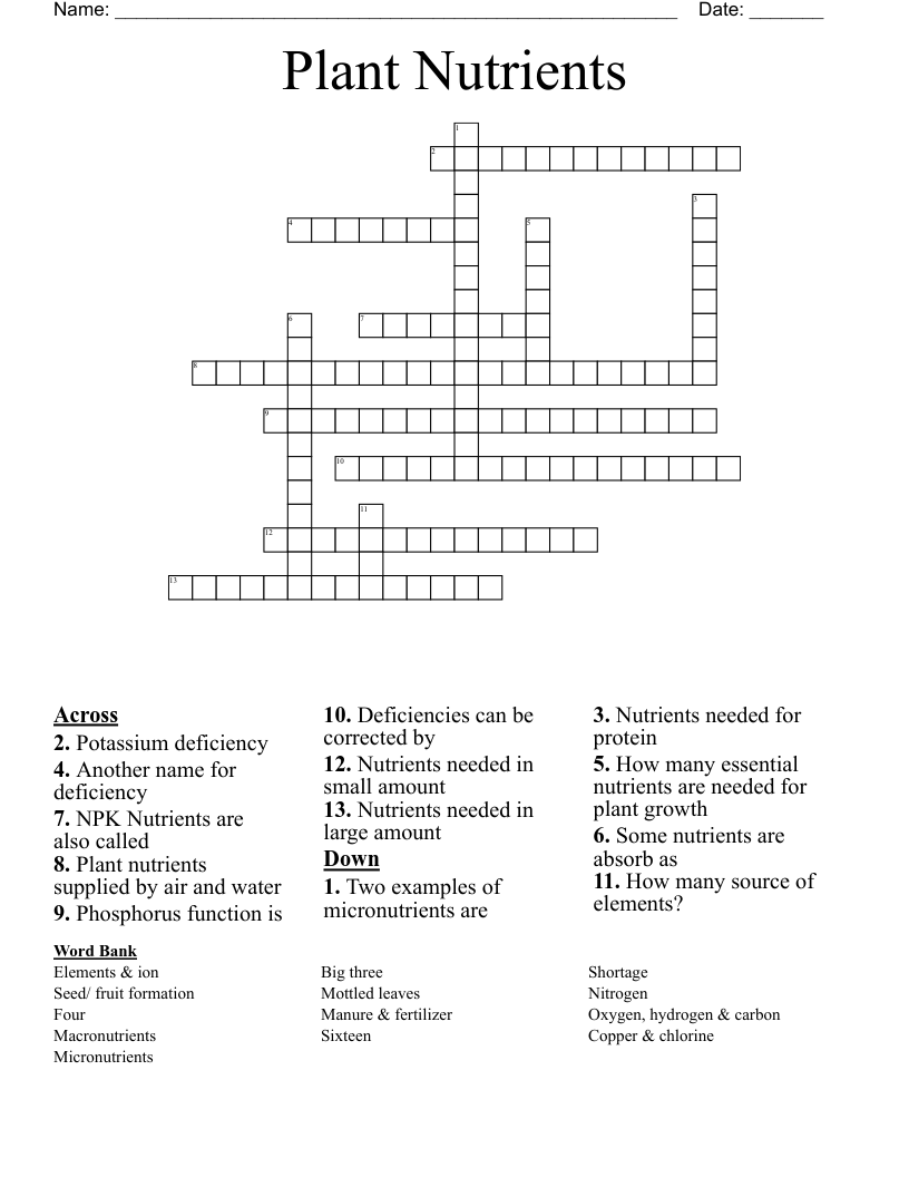 Plant Nutrients Crossword WordMint