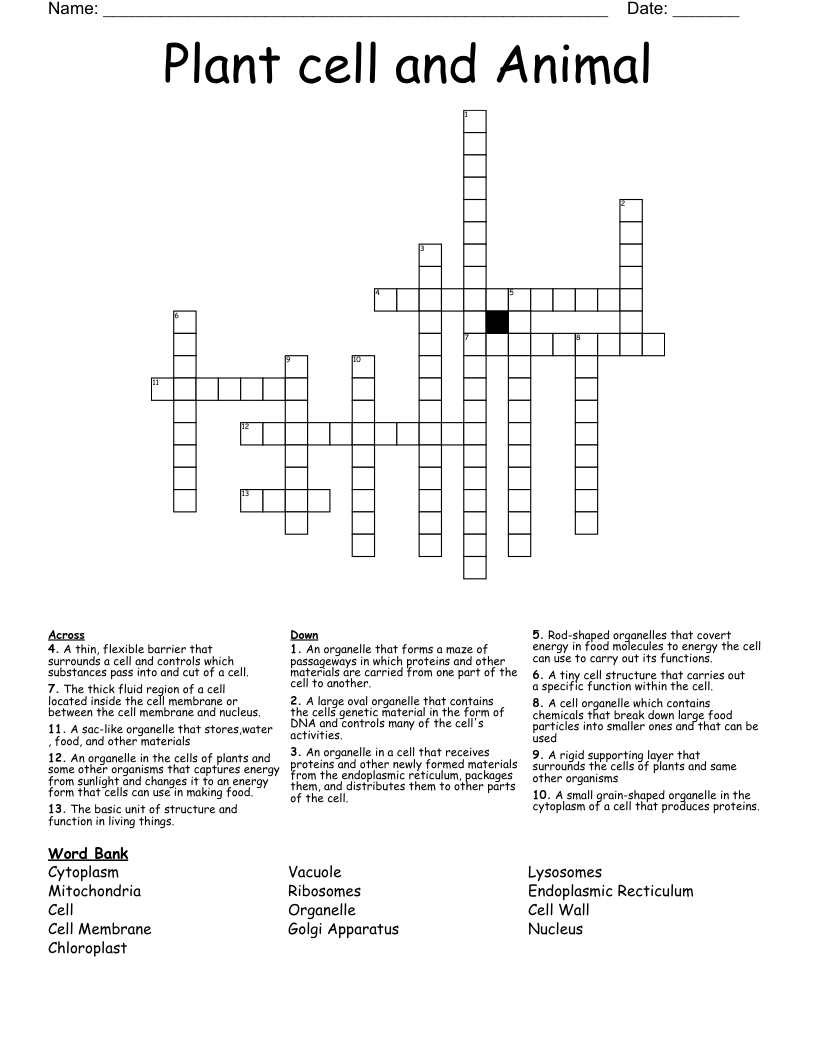 Plant cell and Animal Crossword - WordMint