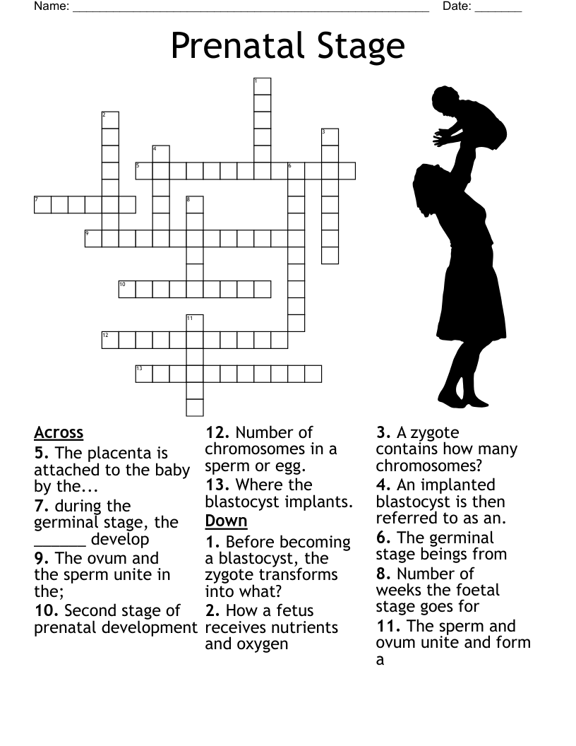 Chapter Two Heredity And Prenatal Development Bingo Cards WordMint