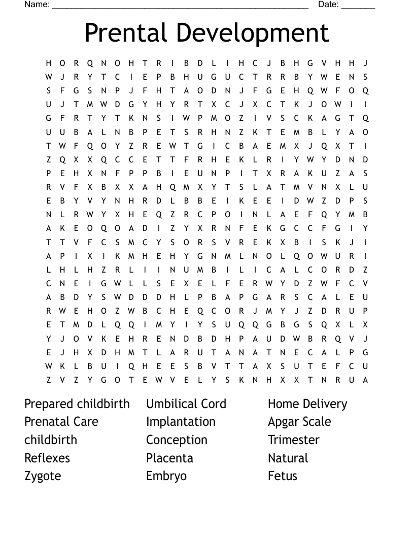 Prental Development Word Search