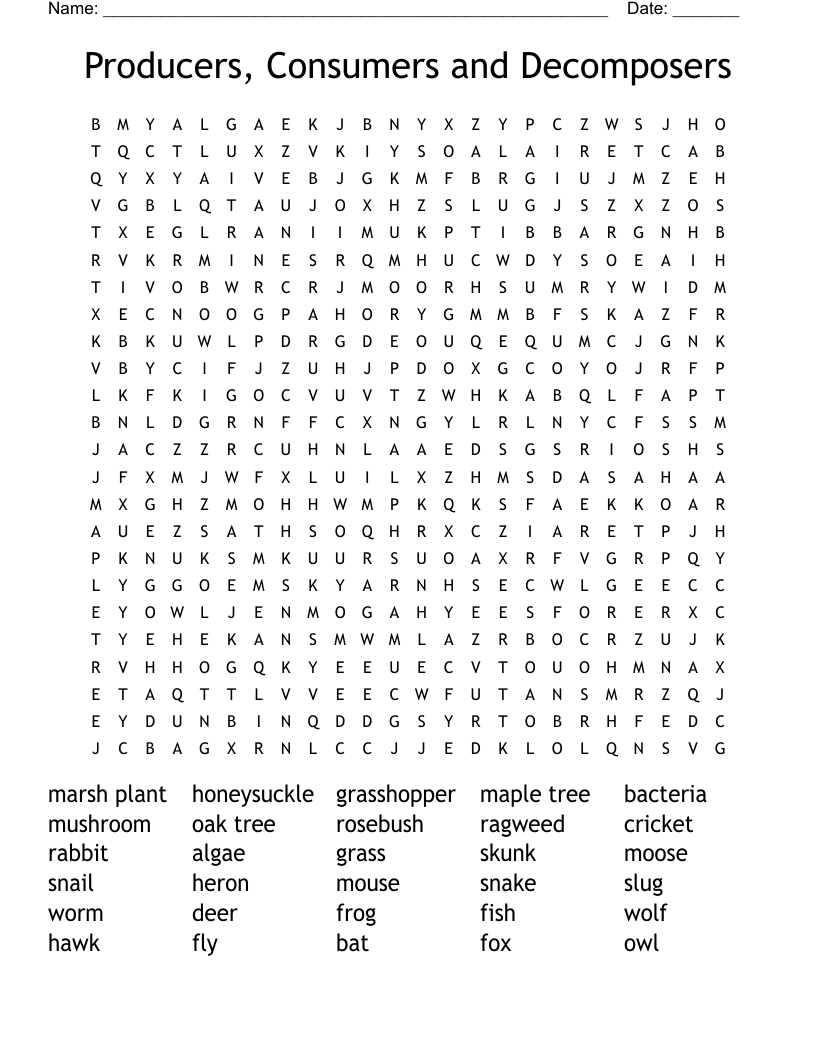 Producers Consumers And Decomposers Word Search WordMint