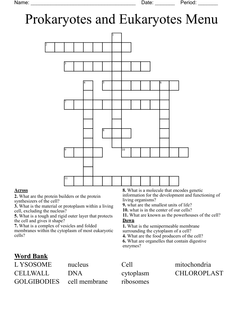 Prokaryotes and Eukaryotes Menu Crossword