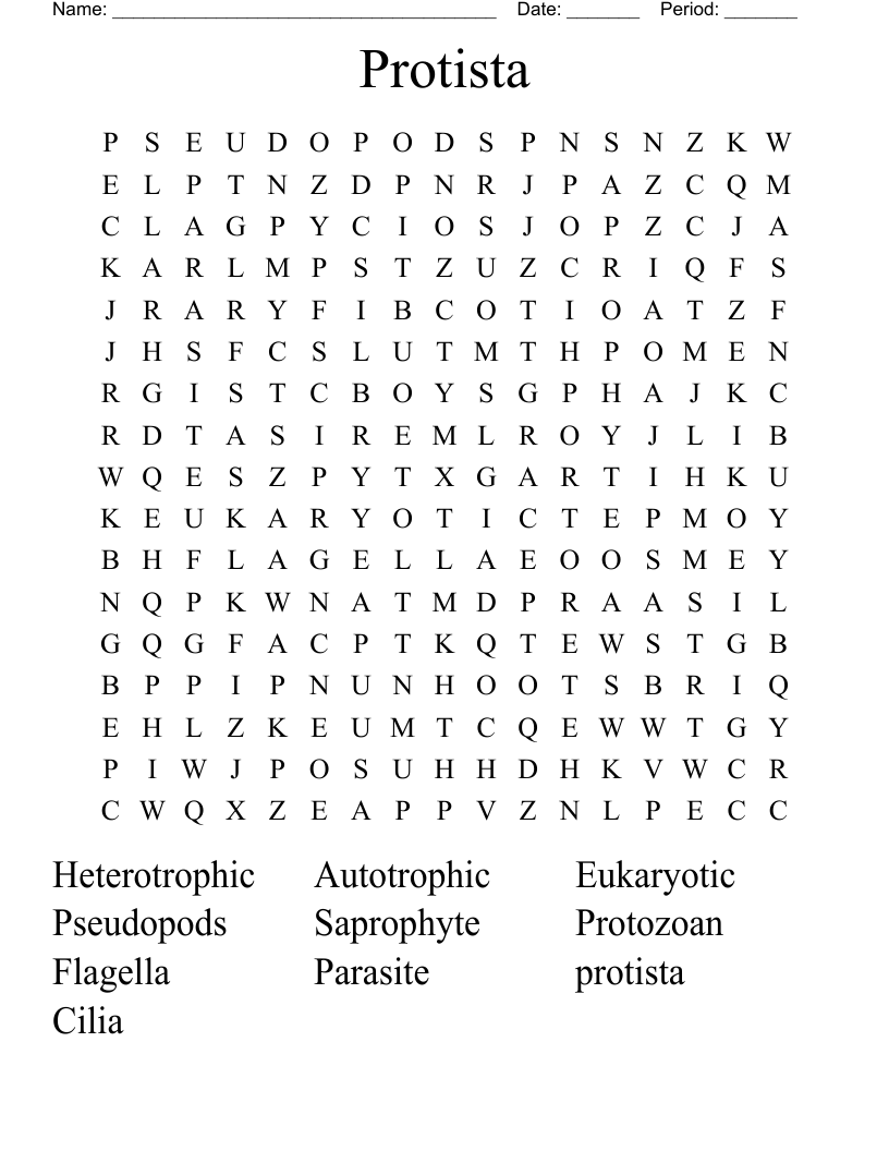 Protista Word Search