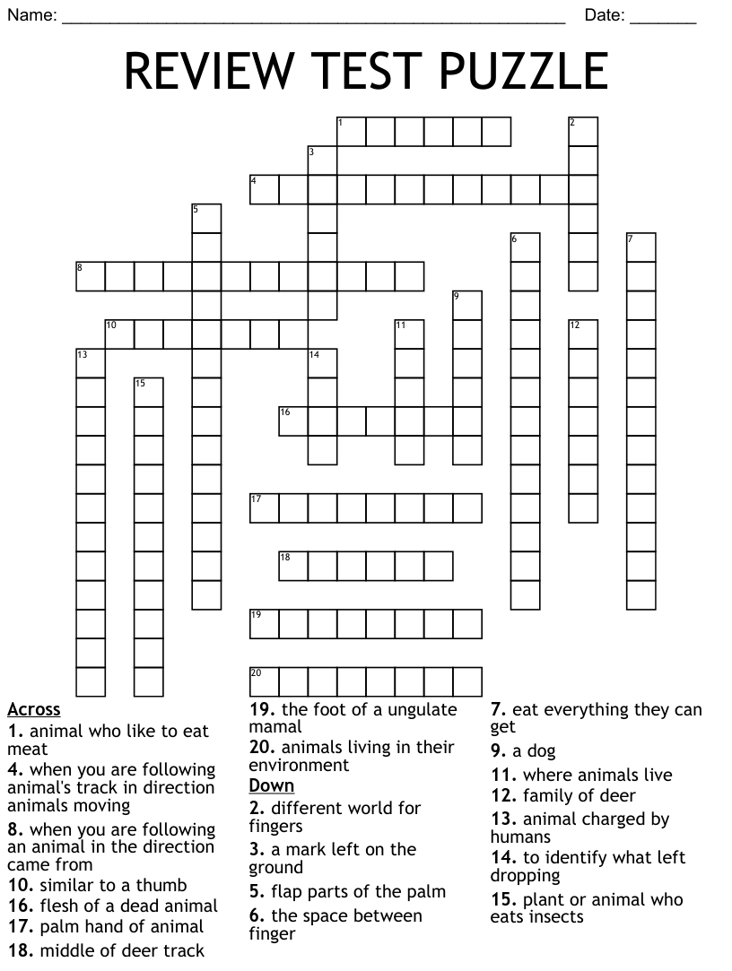 Review Test Puzzle Crossword Wordmint
