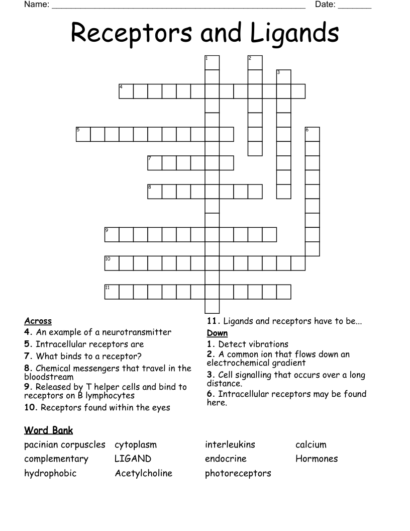 Receptors and Ligands Crossword WordMint
