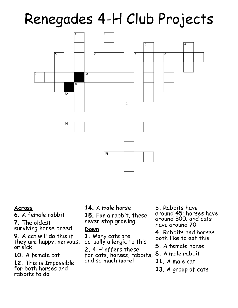 Renegades 4-H Club Projects Crossword