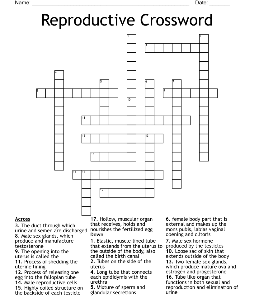 Reproductive Crossword - WordMint