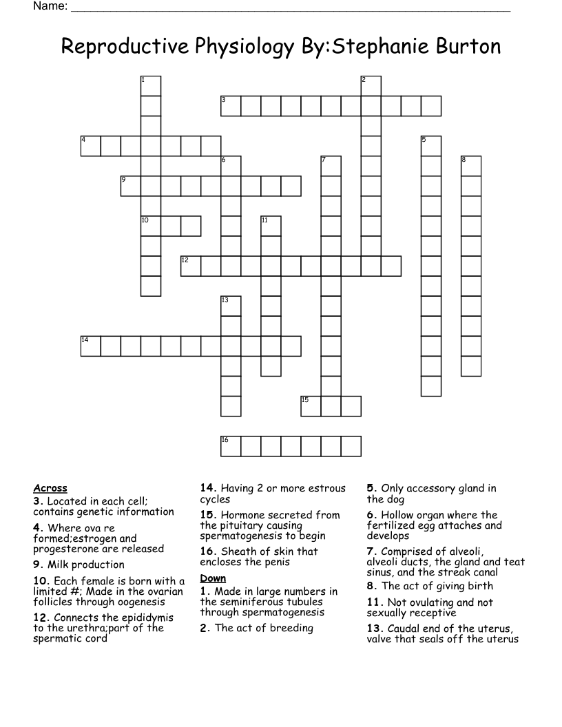 Reproductive Physiology By:Stephanie Burton  Crossword