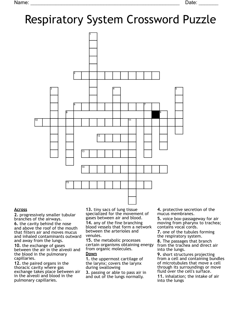 The Respiratory System Crossword Puzzle Answers Bogglesworldesl Apetips