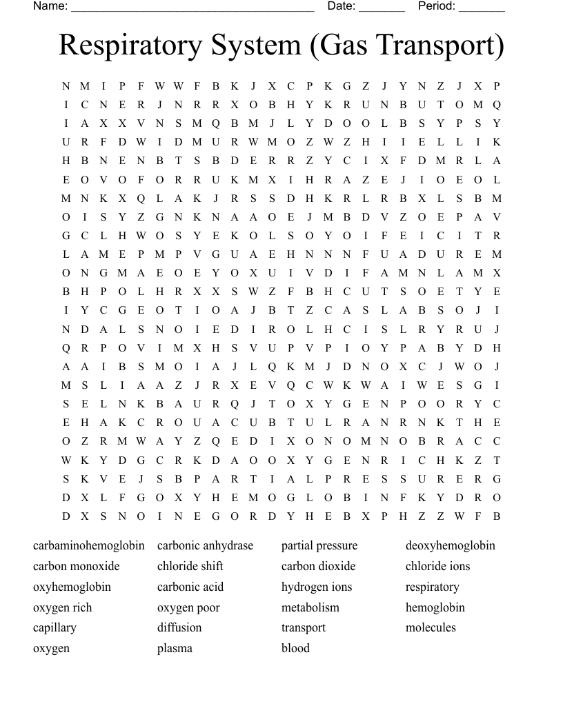 Respiratory System (Gas Transport) Word Search