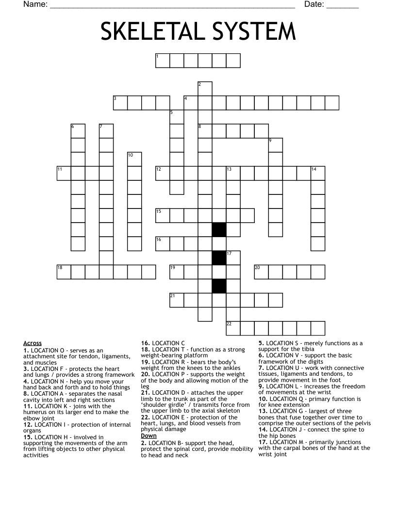 SKELETAL SYSTEM Crossword