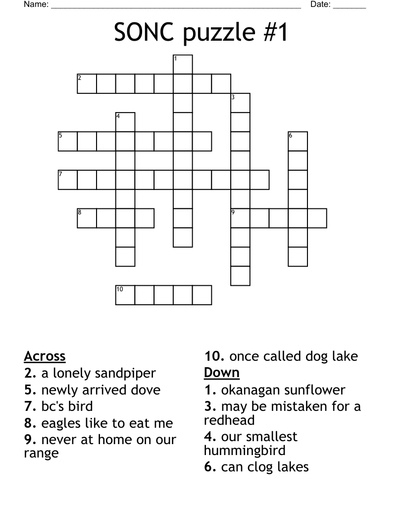 SONC puzzle #1 Crossword
