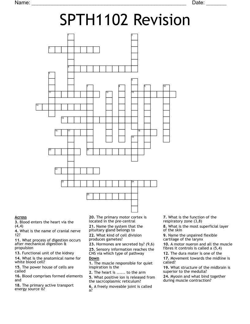 SPTH1102 Revision  Crossword