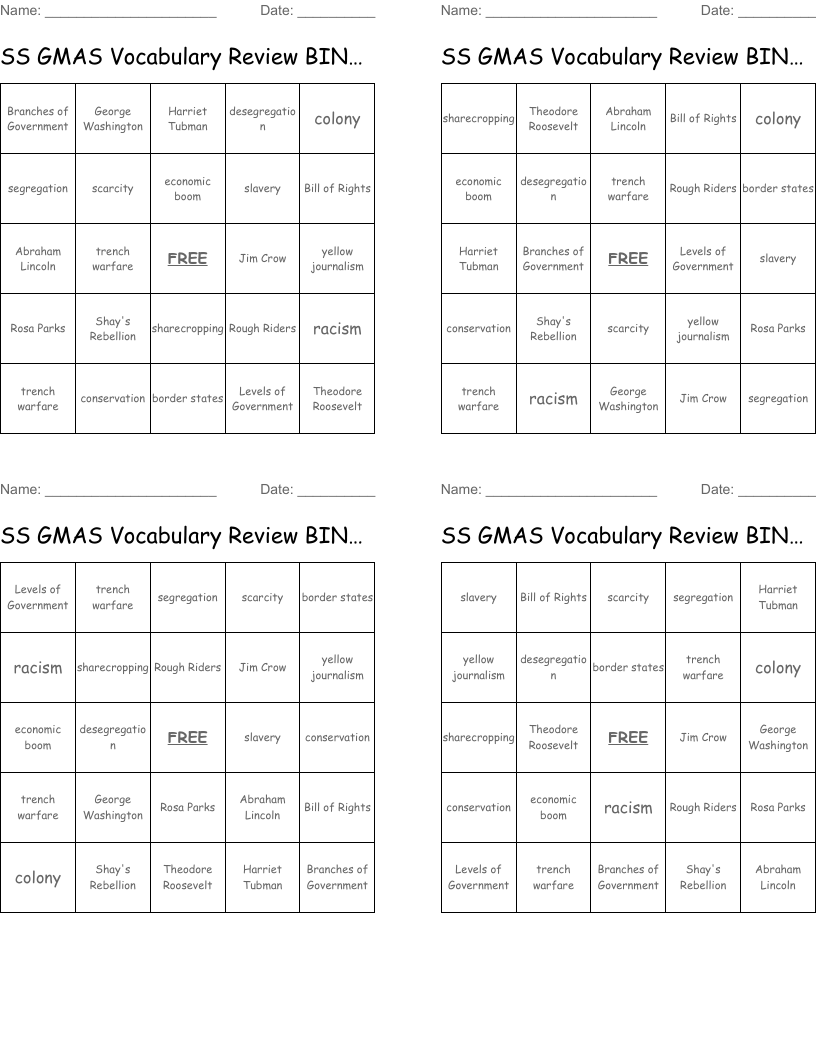 SS GMAS Vocabulary Review BINGO