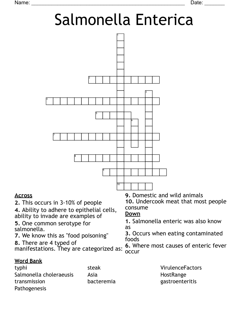 Salmonella Enterica Crossword