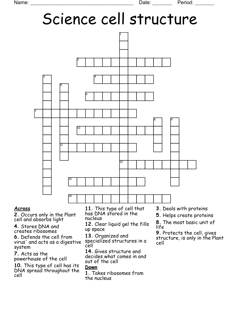 Science cell structure Crossword