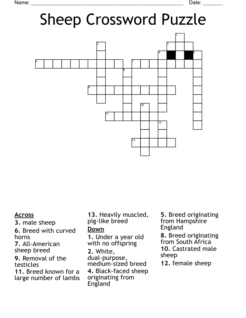 Sheep Crossword WordMint