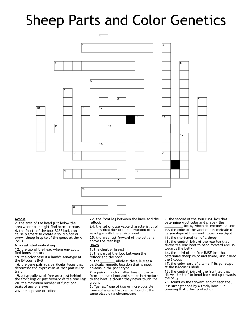 Sheep Parts And Color Genetics Crossword WordMint