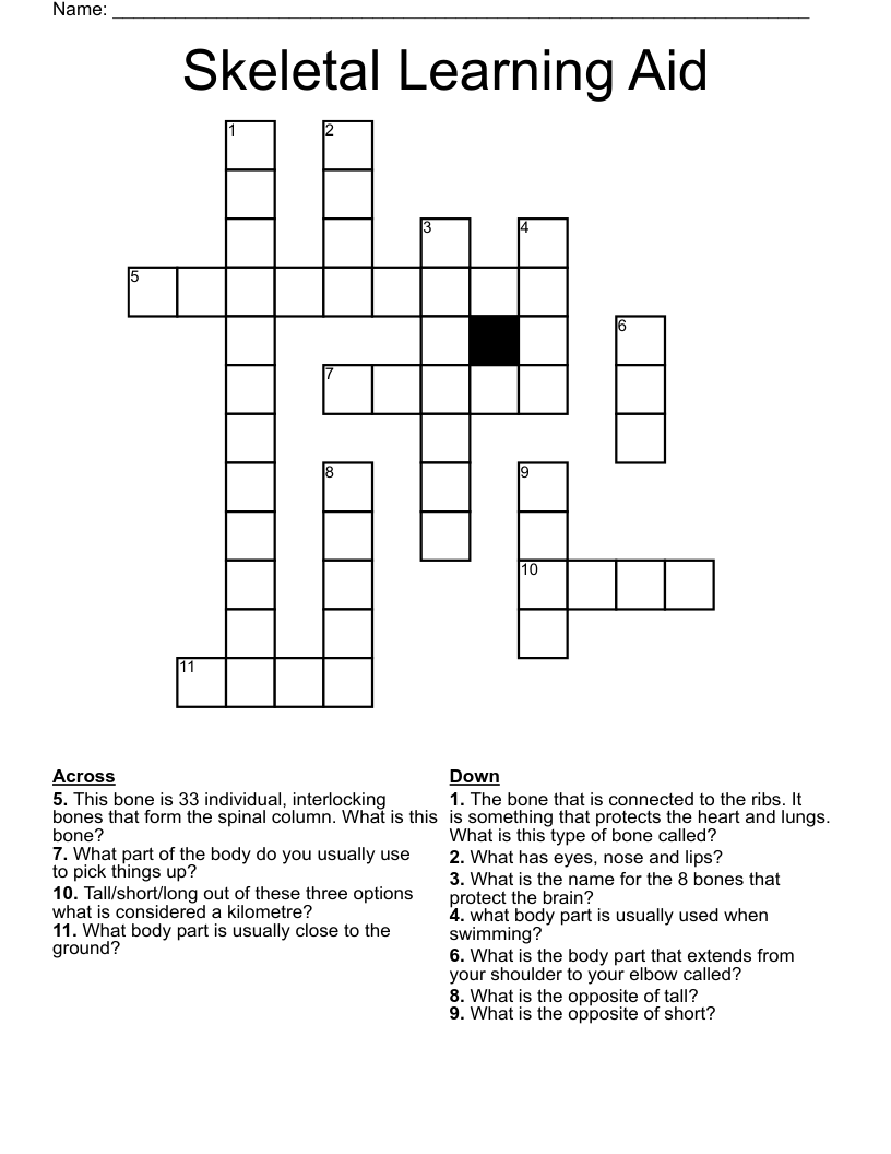 Skeletal Learning Aid  Crossword