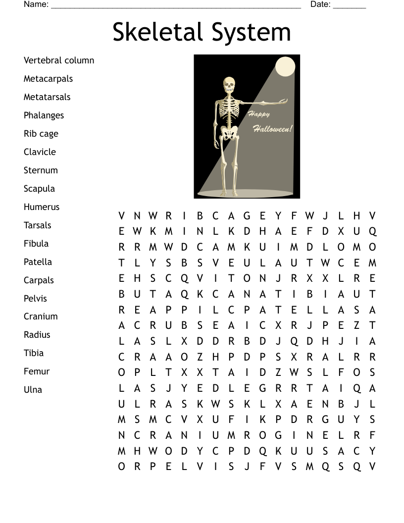 Skeletal System Crossword Puzzle Answer Key Pdf Check Spelling Or 