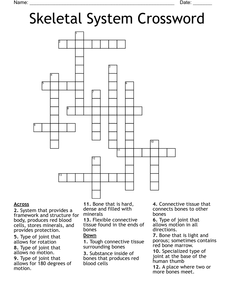Skeletal System Crossword