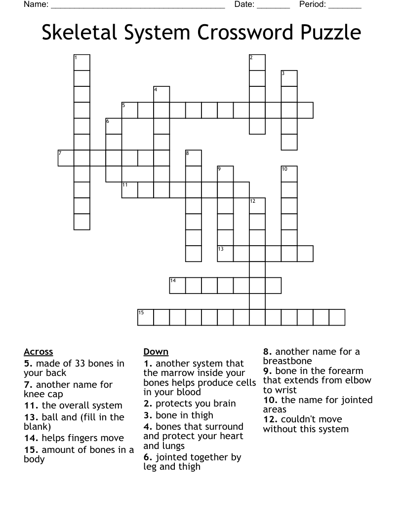 Bone Anatomy Crossword Muscle Anatomy Crossword Answers Anatomy 