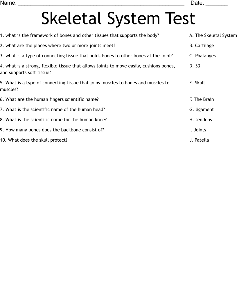 Skeletal System Test Worksheet WordMint