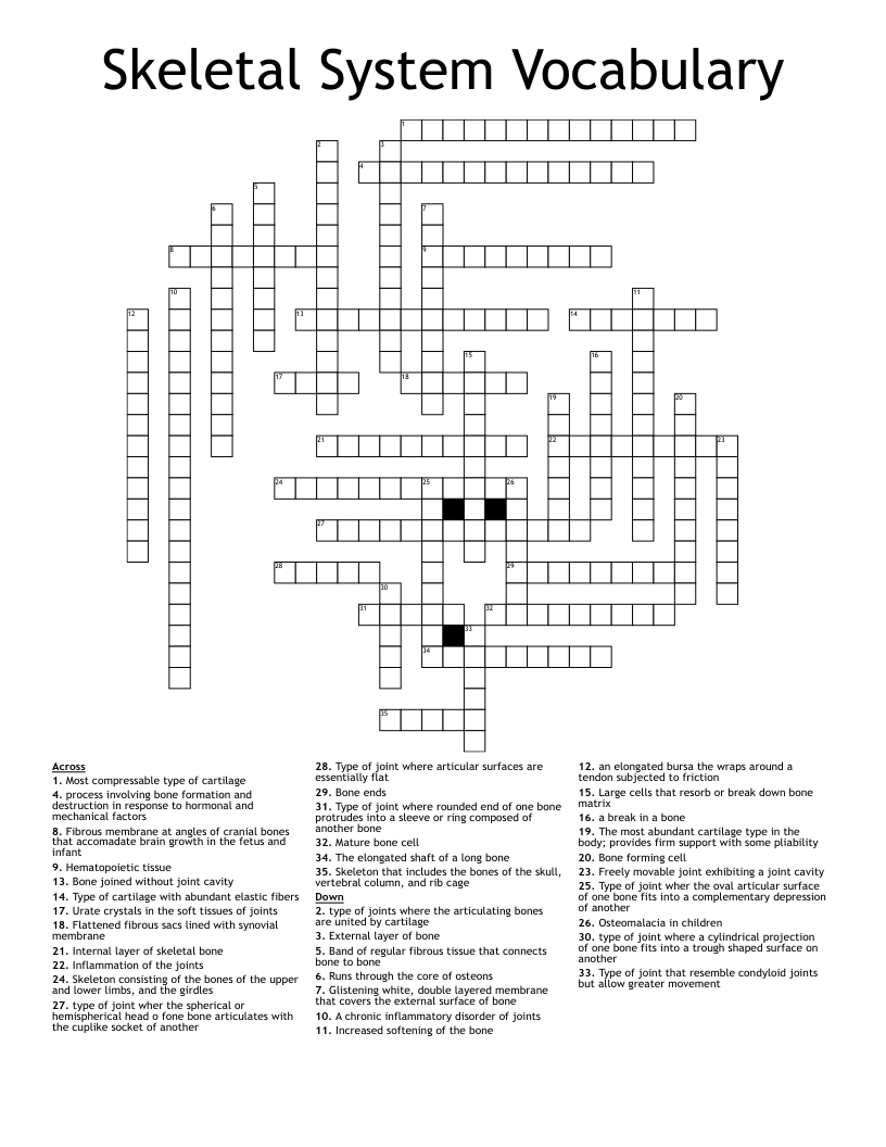 Skeletal System Crossword Puzzle Answer Key Pdf Check Spelling Or 