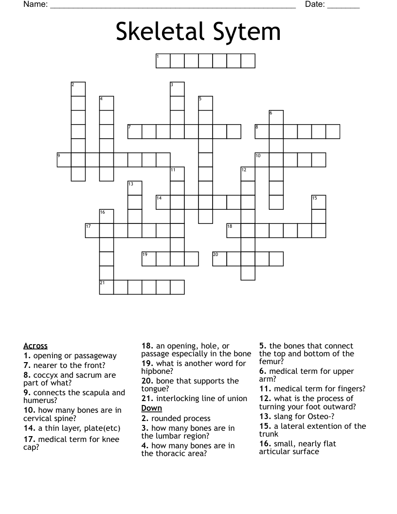 Skeletal Sytem Crossword