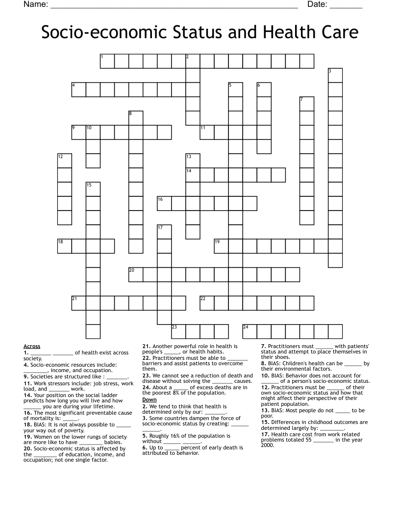 Socio-economic Status and Health Care Crossword
