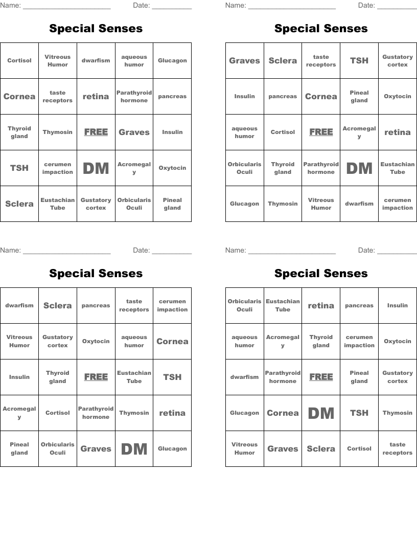 Special Senses Bingo Cards