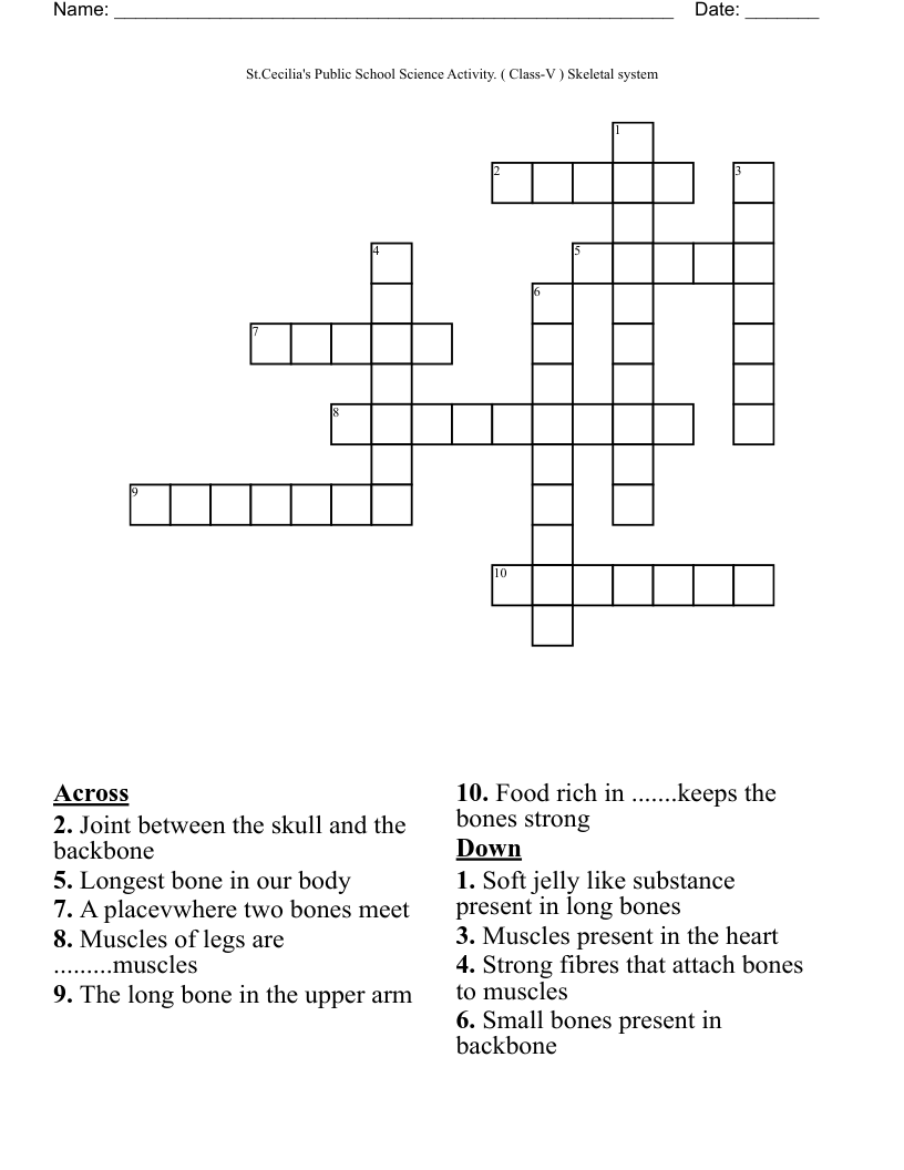St.Cecilia's Public School                                            Science Activity.               ( Class-V )                            Skeletal system Crossword