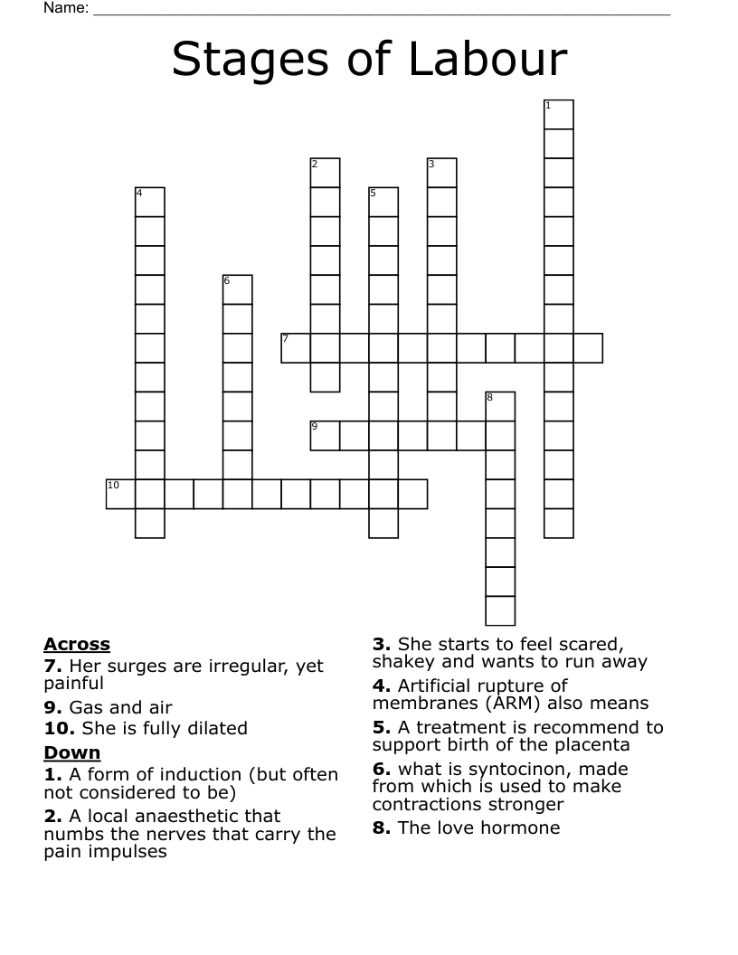 Stages of Labour Crossword