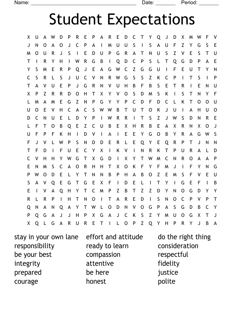 Student Expectations Word Search