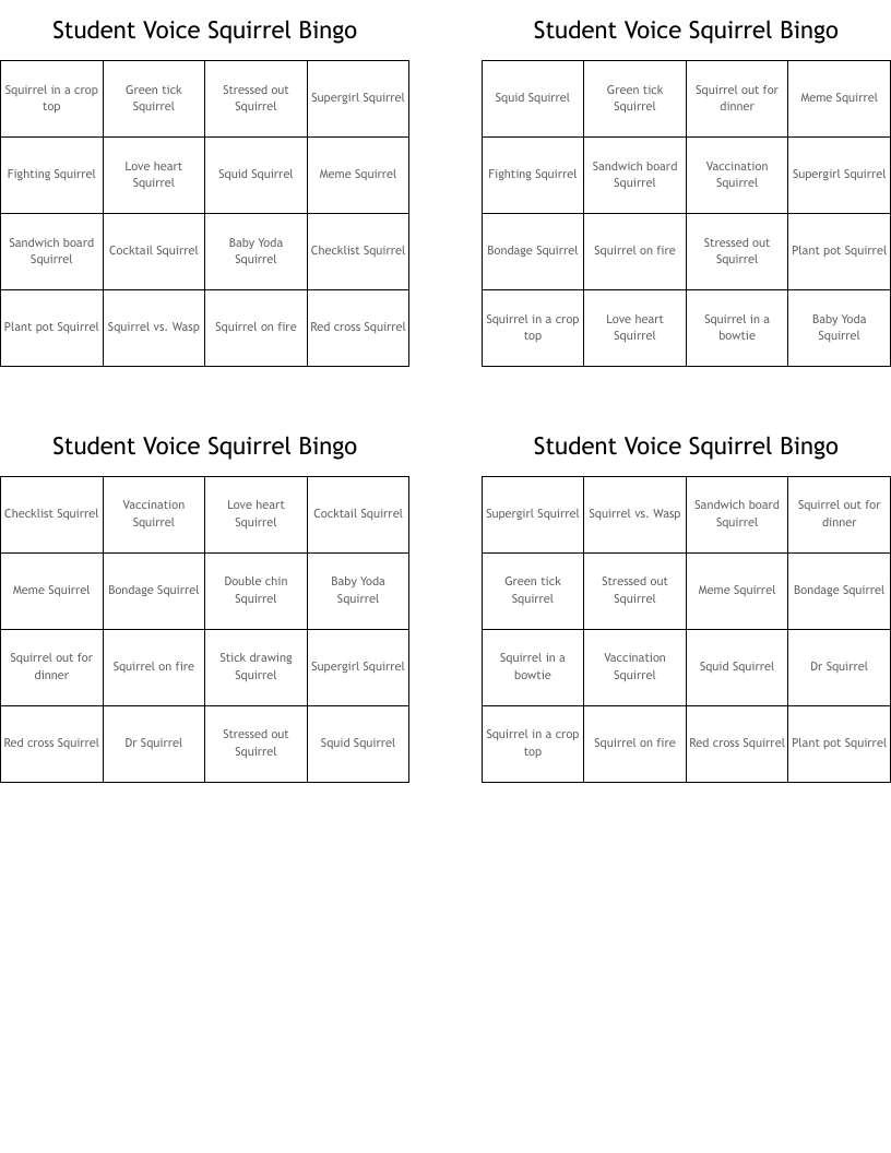 Student Voice Squirrel Bingo