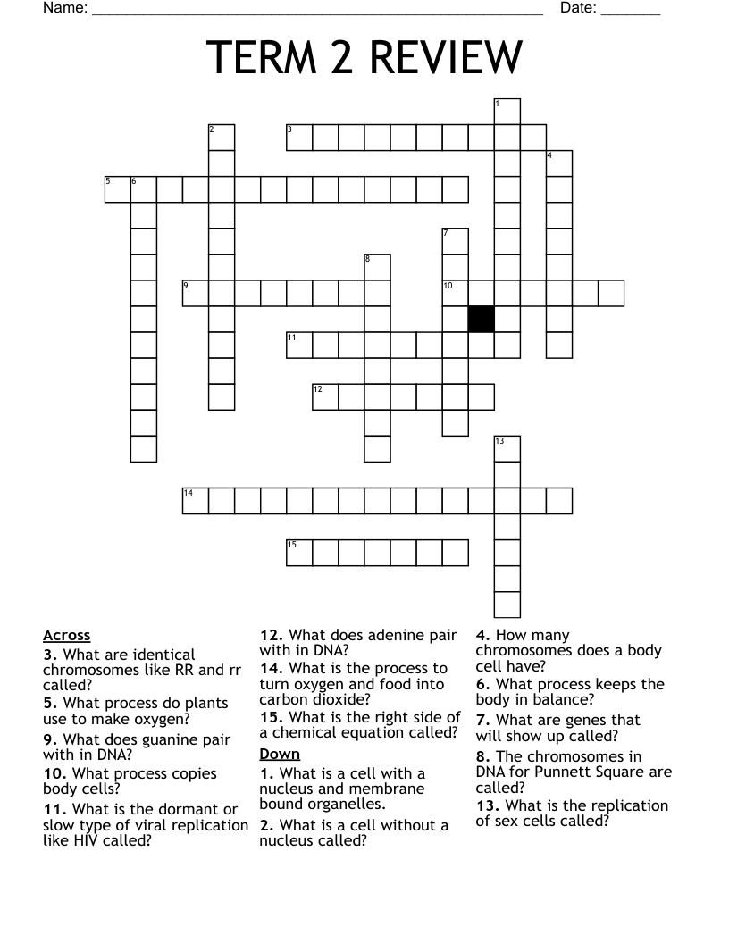 TERM 2 REVIEW Crossword