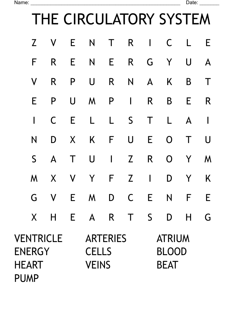 THE CIRCULATORY SYSTEM Word Search
