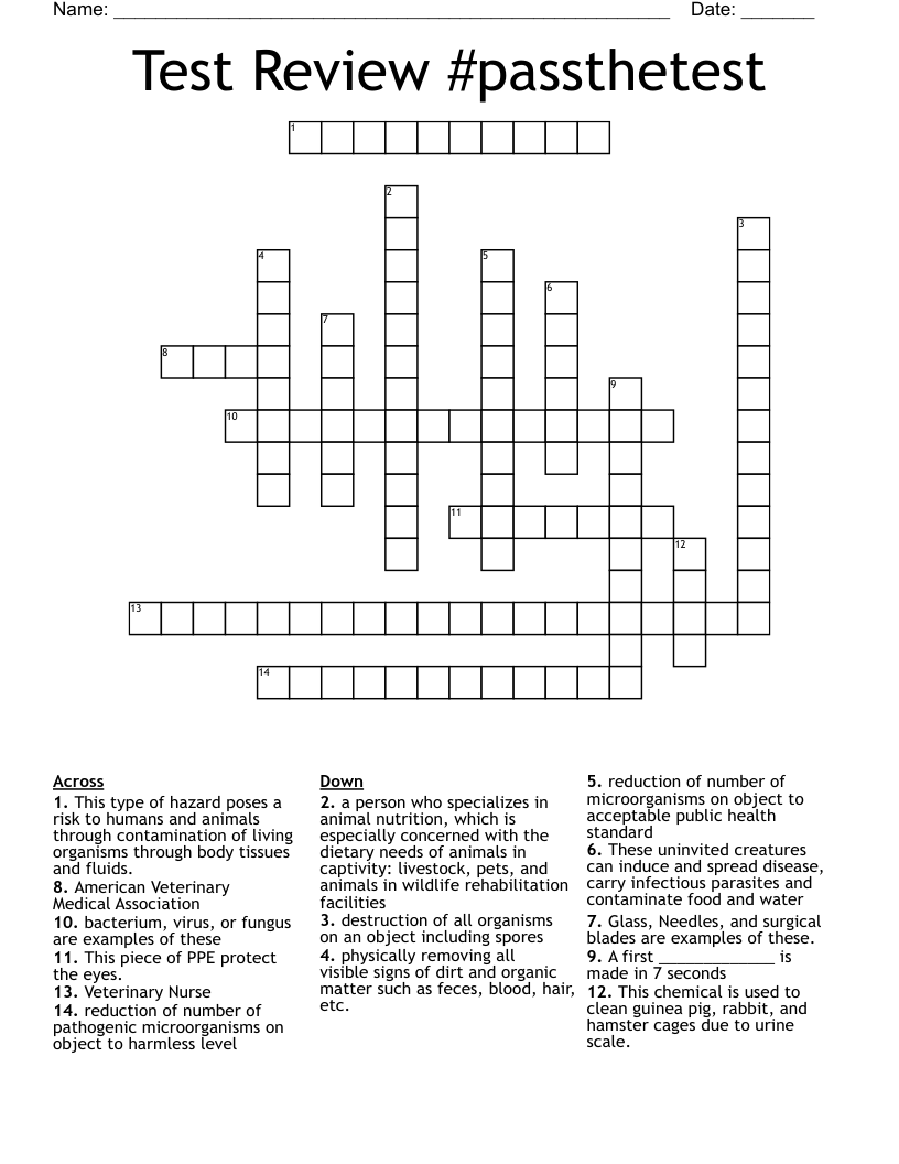Test Review #passthetest Crossword