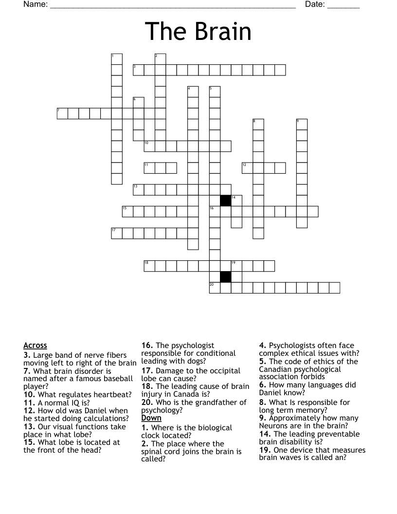 The Brain Crossword WordMint