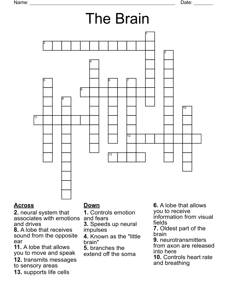 The Brain Crossword WordMint The Brain Crossword WordMint