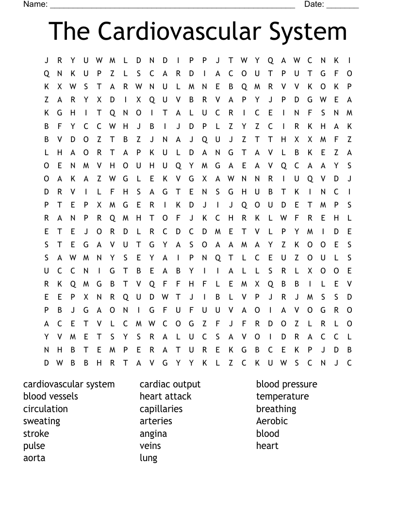 The Cardiovascular System Word Search WordMint