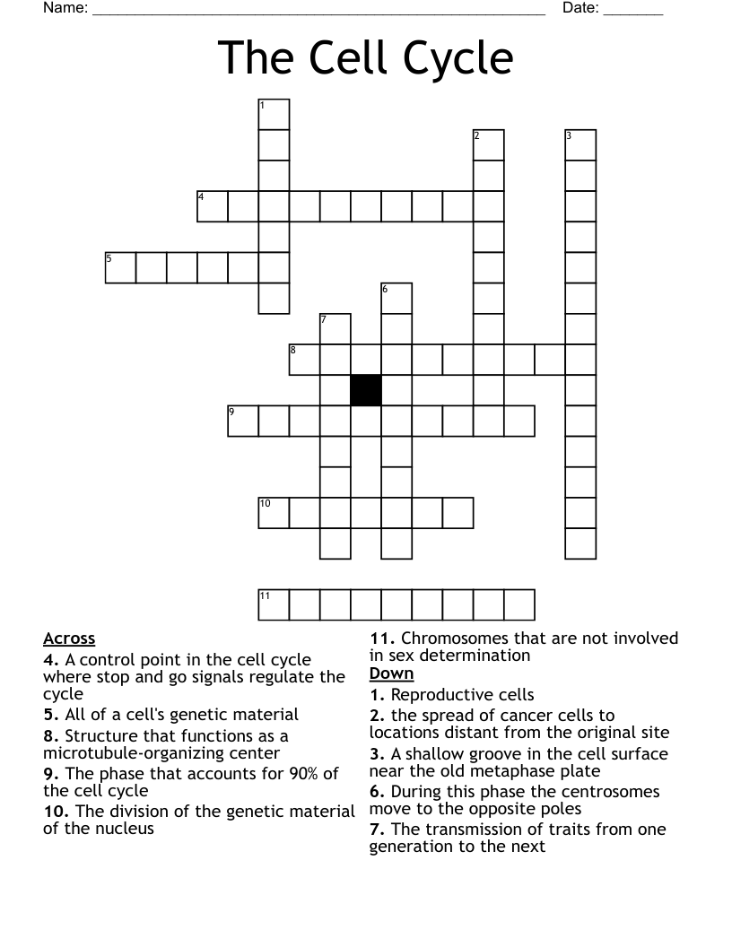 The Cell Cycle Crossword WordMint